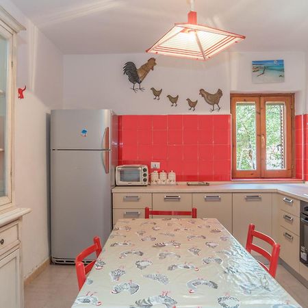 Quadrilocale Vico Trento Apartment San Teodoro  Exterior photo